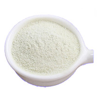 布丁粉哪个牌子好_2024年十大品牌-推荐好物