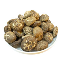干货哪个牌子好_2024年十大品牌-推荐好物