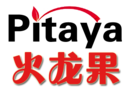 香薰蜡烛十大品牌排名NO.