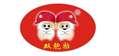 双胞胎